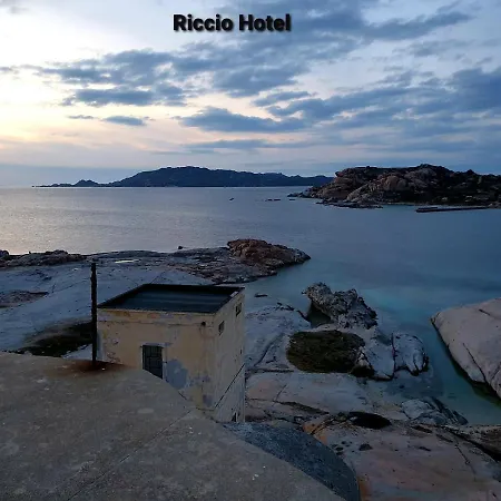 Riccio La Maddalena (Sassari)