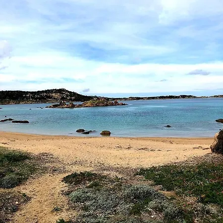 Riccio 3* La Maddalena (Sassari)