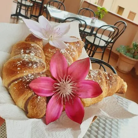 Riccio Hotel La Maddalena (Sassari)